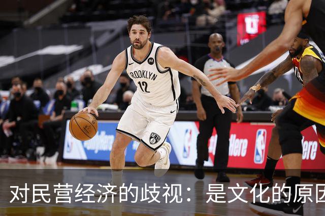 对民营经济的歧视：是文化的原因，还是意识形态的推动